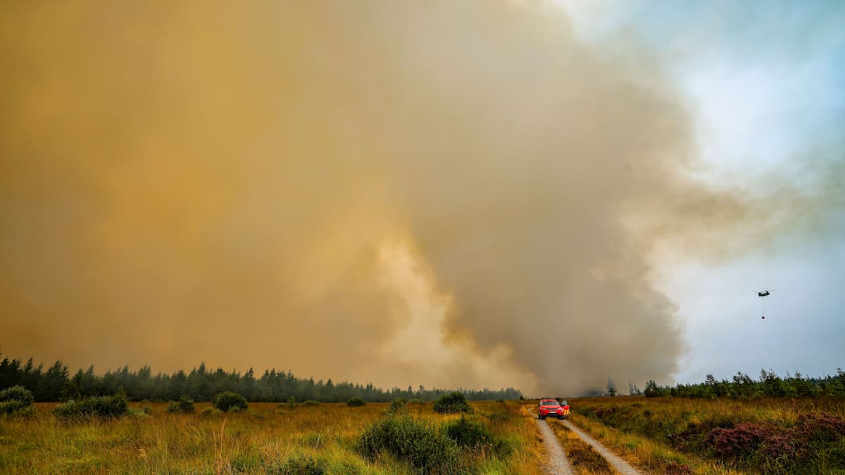 Waldbrand im Hürtgenwald: Situation bleibt angespannt