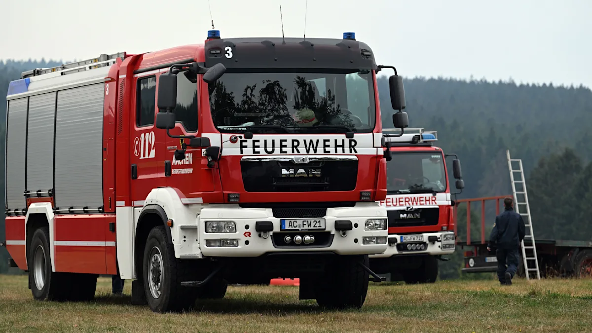 Waldbrand in der Eifel: Einsatzkräfte kämpfen gegen die Flammen
